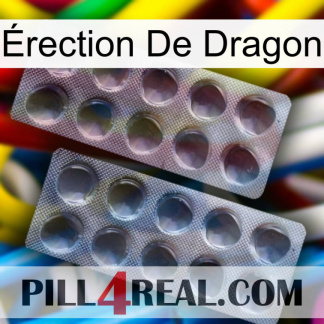 Érection De Dragon 31